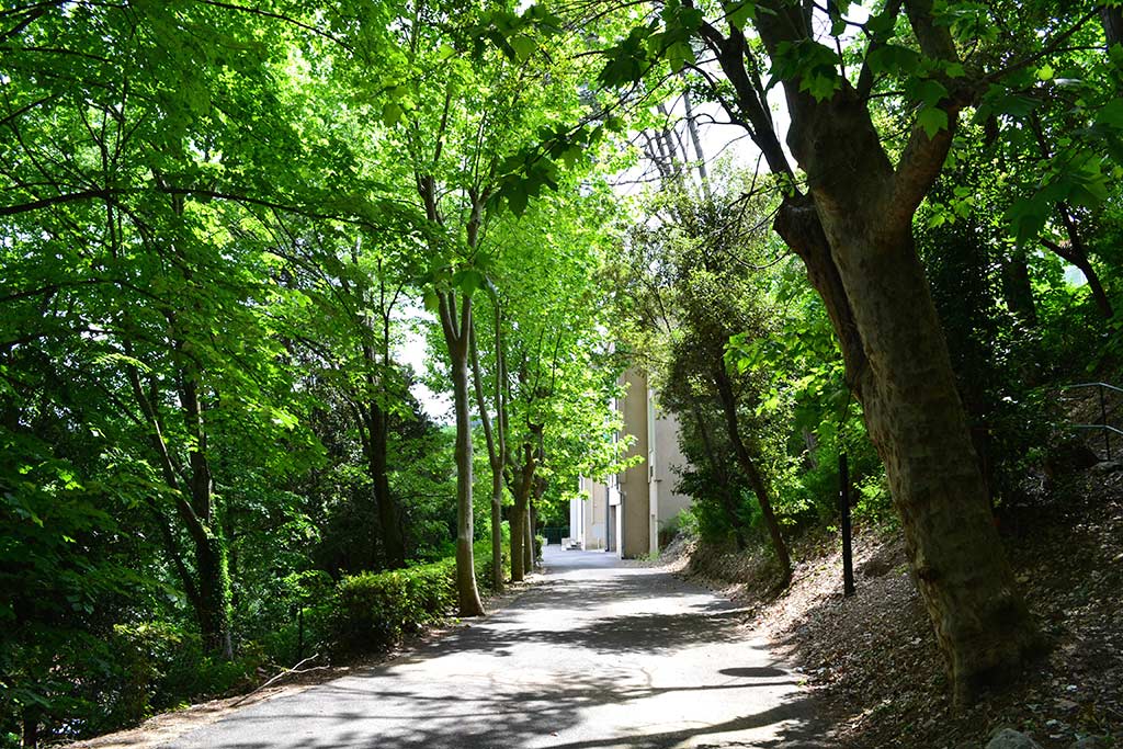 Le Parc de la Fondation Rollin Le Parc de la Fondation Rollin