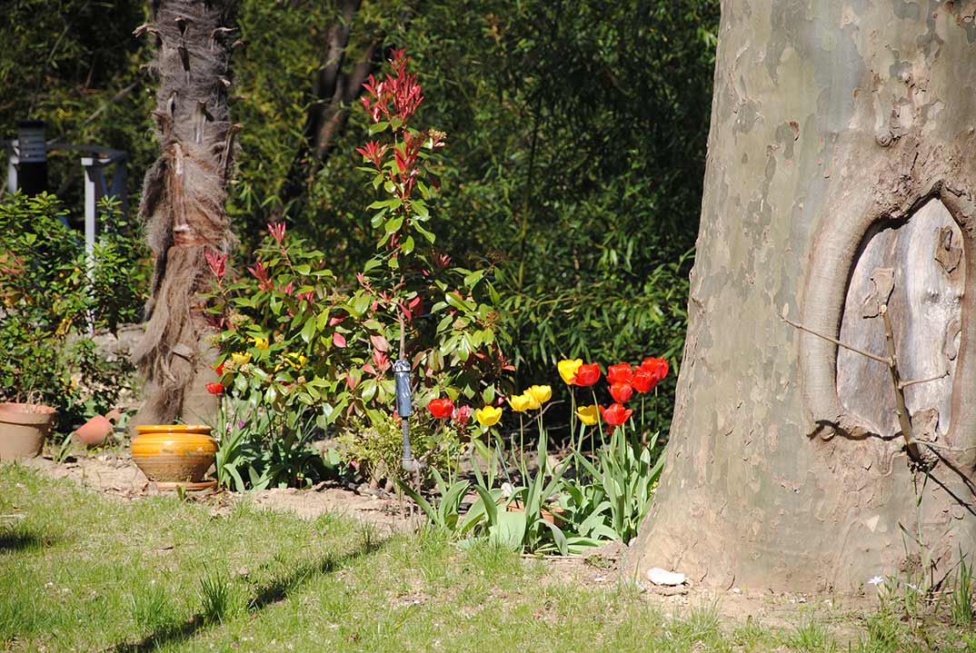 Le parc toujours fleuri