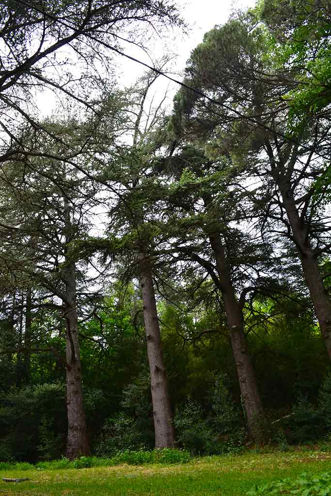 Le parc de la fondation Rollin sur le site d'Anduze