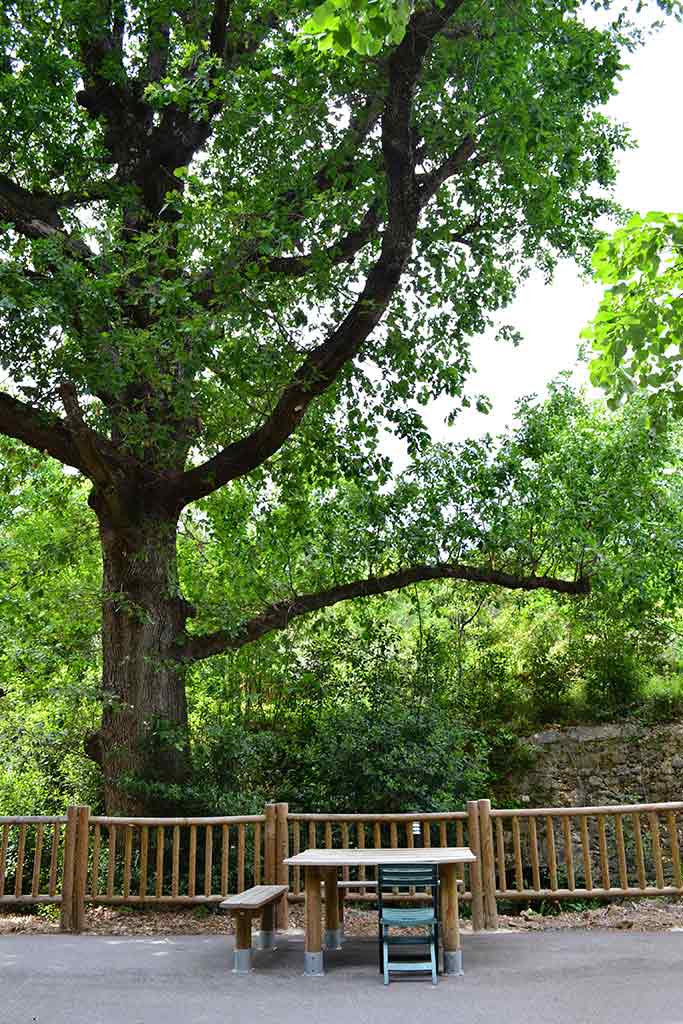 Le parc de la fondation Rollin sur le site d'Anduze